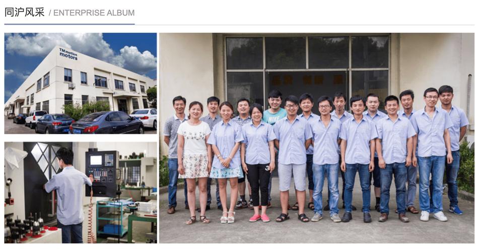 当下国内精密电机市场厂商众多,小型组装作坊与规模化实体工厂的产品